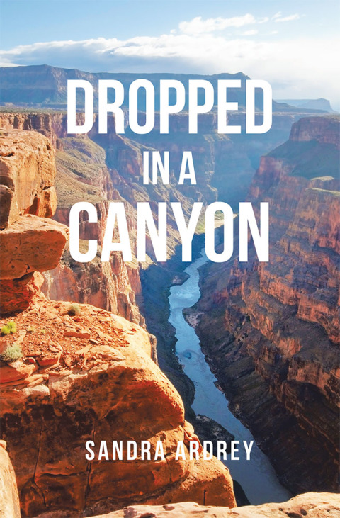 Cover image for book Dropped in a Canyon
