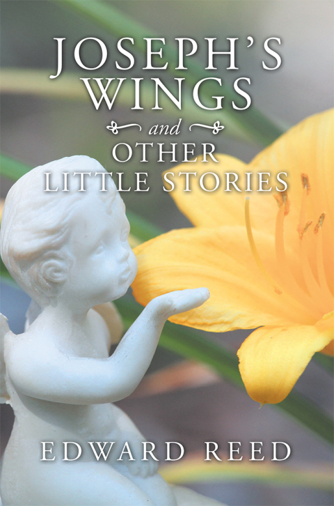 Cover image for book Joseph’s Wings and Other Little Stories