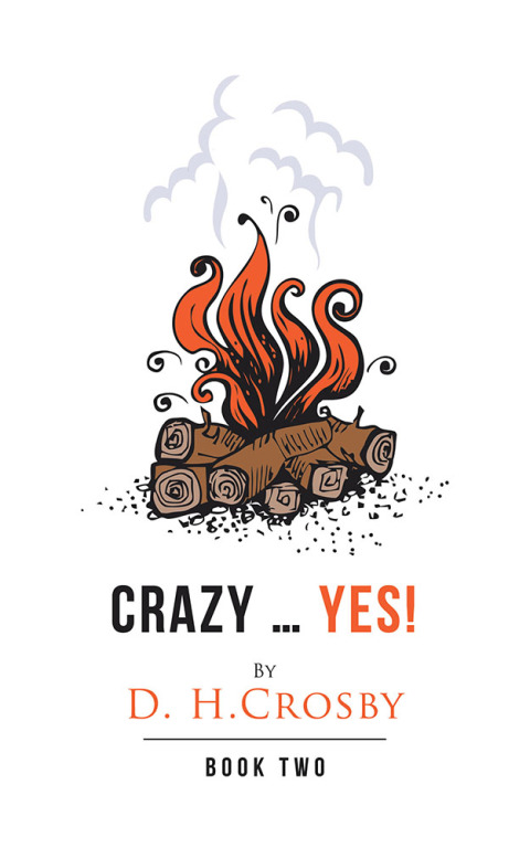 Cover image for book Crazy … Yes!