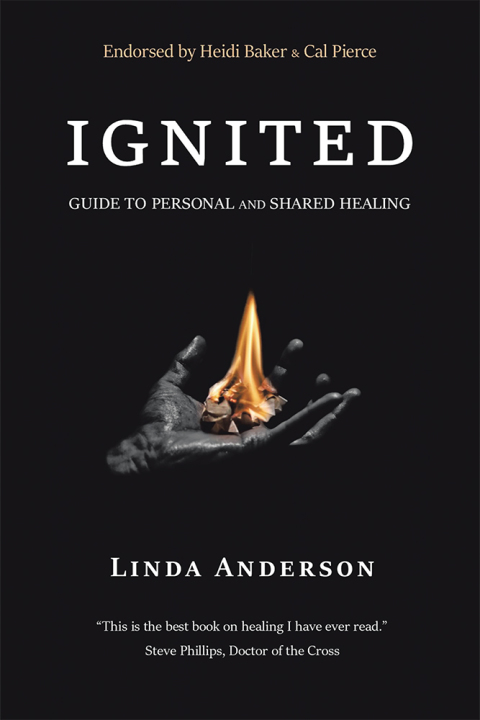 Cover image for book Ignited