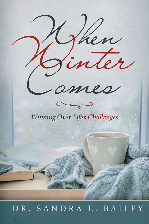 Cover image for book When Winter Comes