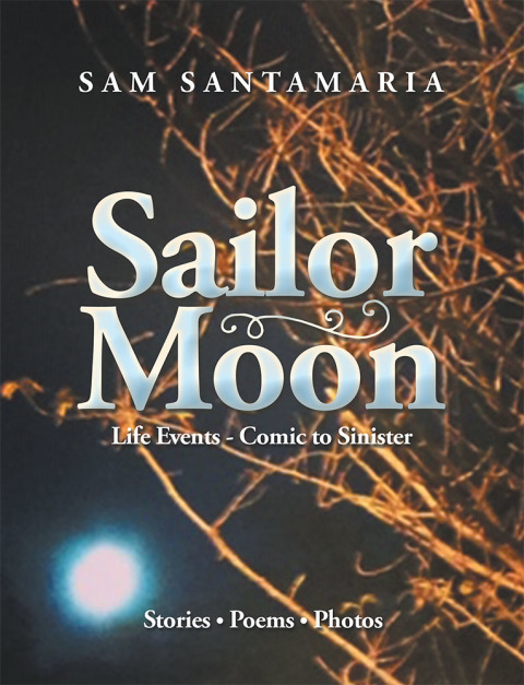 Cover image for book Sailor Moon