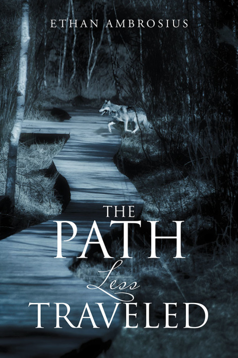 Cover image for book The Path Less Traveled