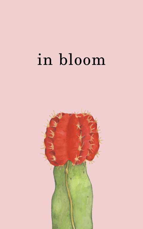 Cover image for book In Bloom