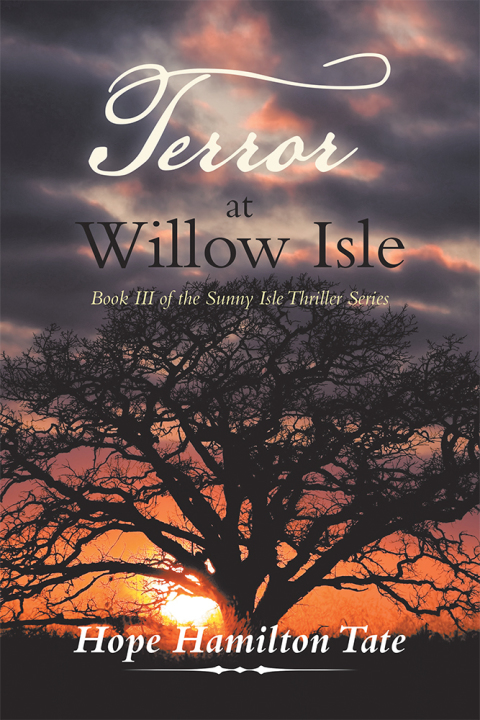 Cover image for book Terror at Willow Isle
