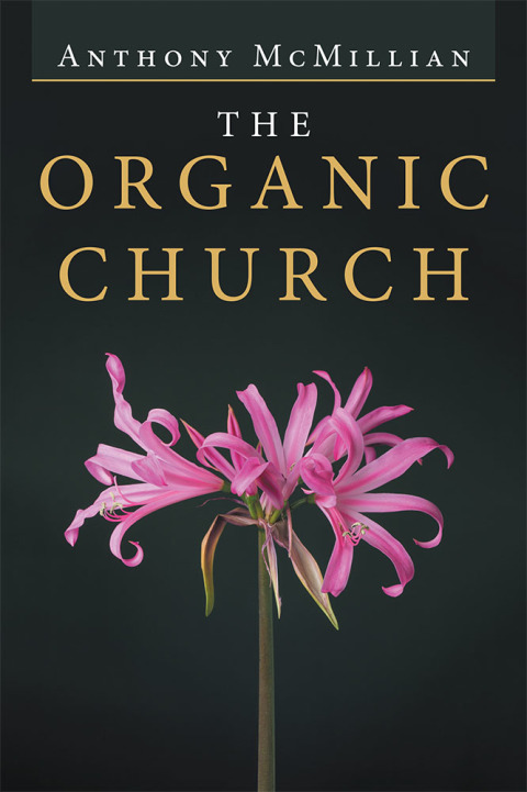 Cover image for book The Organic Church