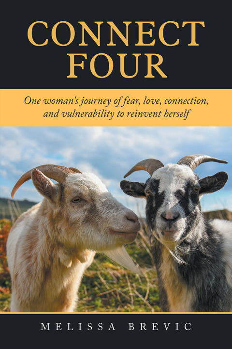 Cover image for book Connect Four