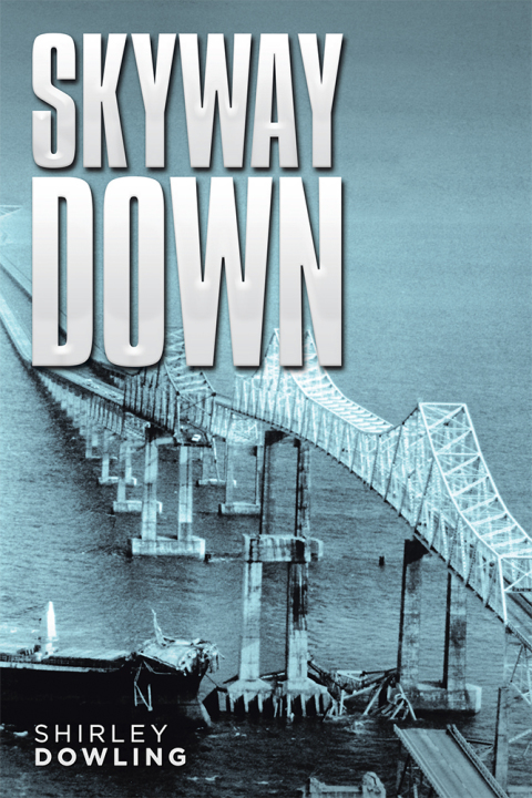 Cover image for book Skyway Down