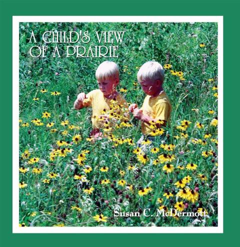 Cover image for book A Child's View of a Prairie