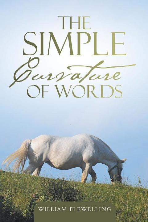 Cover image for book The Simple Curvature of Words