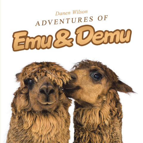 Cover image for book Adventures of Emu & Demu