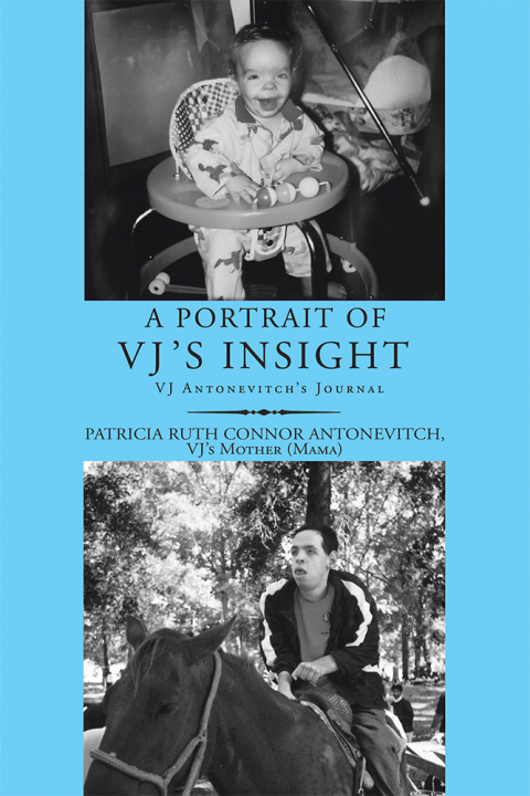 Cover image for book A Portrait of Vj’s Insight