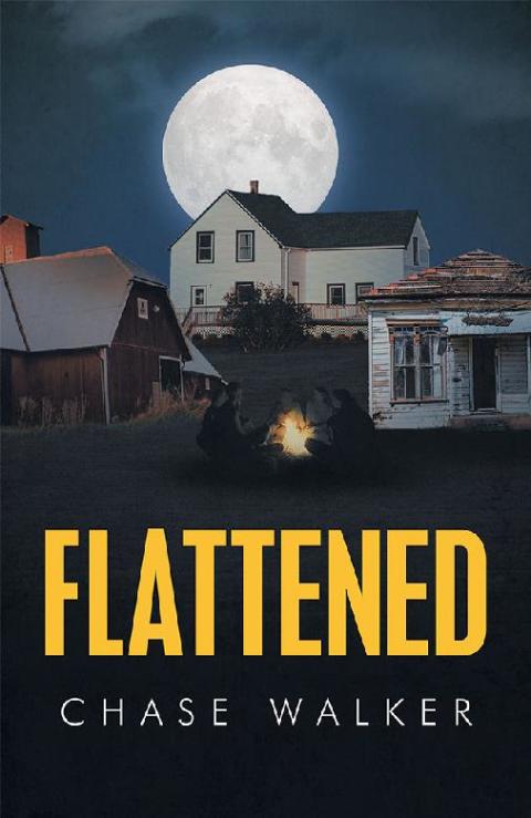 Cover image for book Flattened