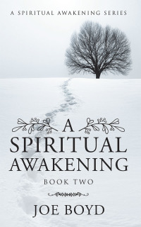 Cover image: A Spiritual Awakening 9781728335681