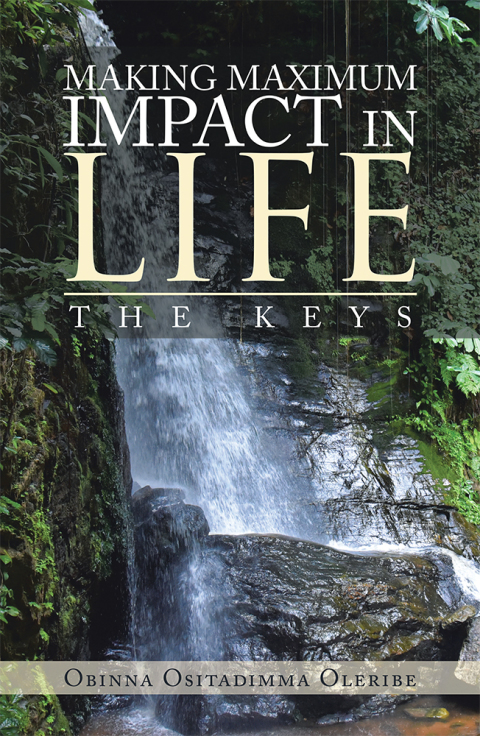 Cover image for book Making Maximum Impact in Life