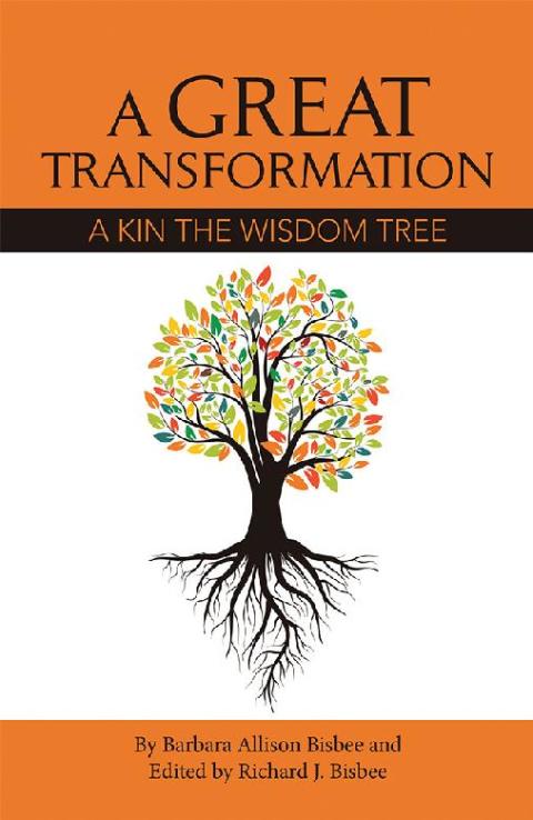 Cover image for book A Great	Transformation