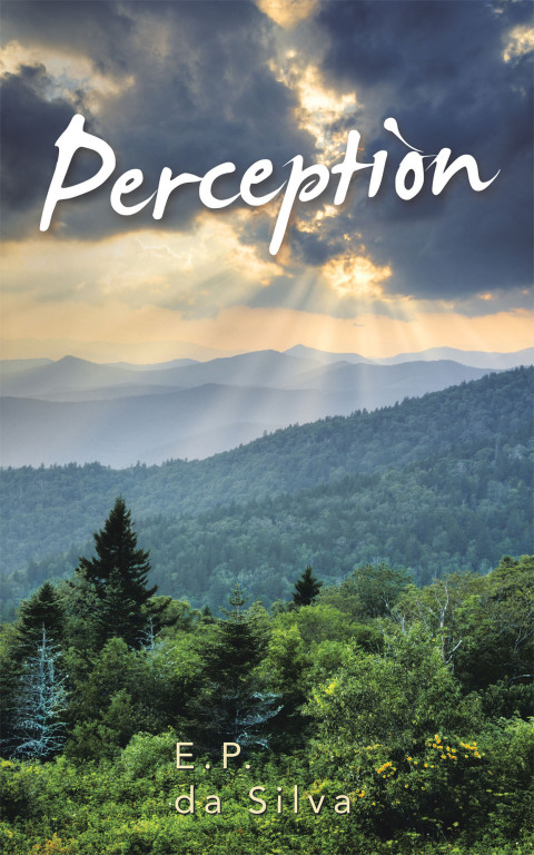 Cover image for book Perception