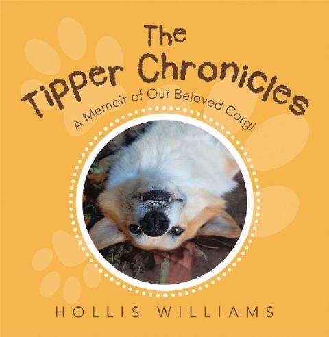 Cover image for book The Tipper Chronicles