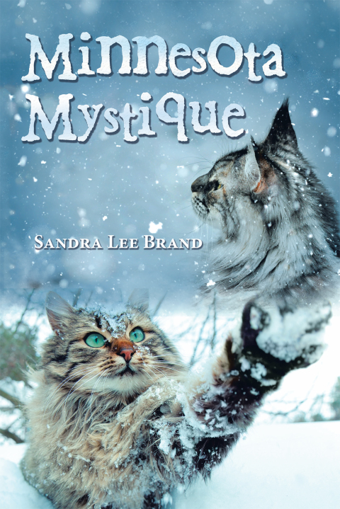 Cover image for book Minnesota Mystique