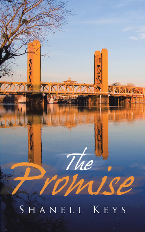 Cover image for book The Promise