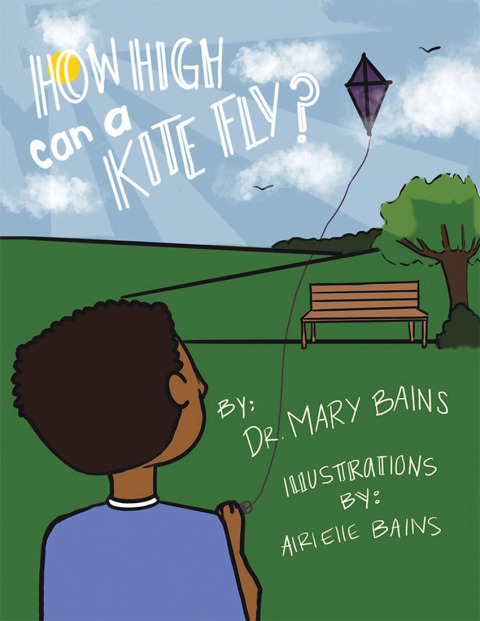 Cover image for book How High Can a Kite Fly?