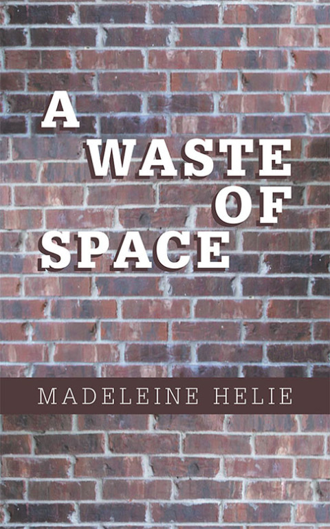 Cover image for book A Waste of Space