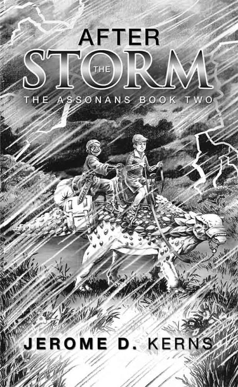 Cover image for book After the Storm