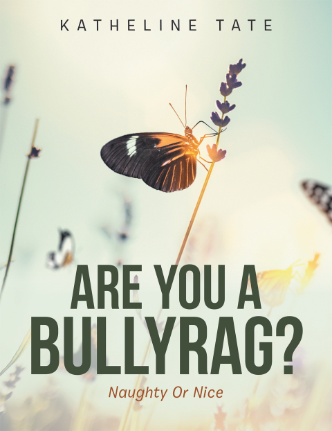 Cover image for book Are You a Bullyrag?