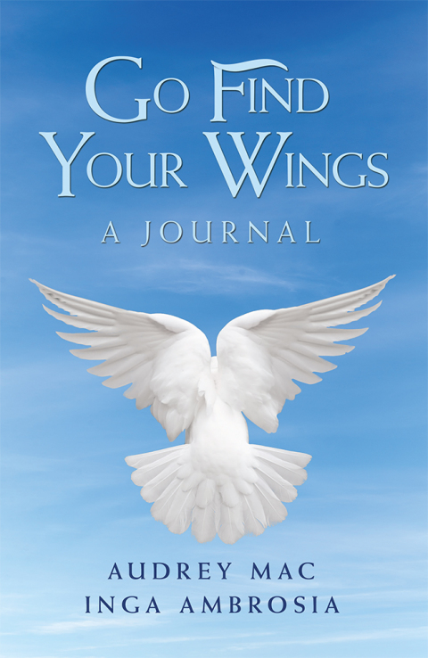 Cover image for book Go Find Your Wings
