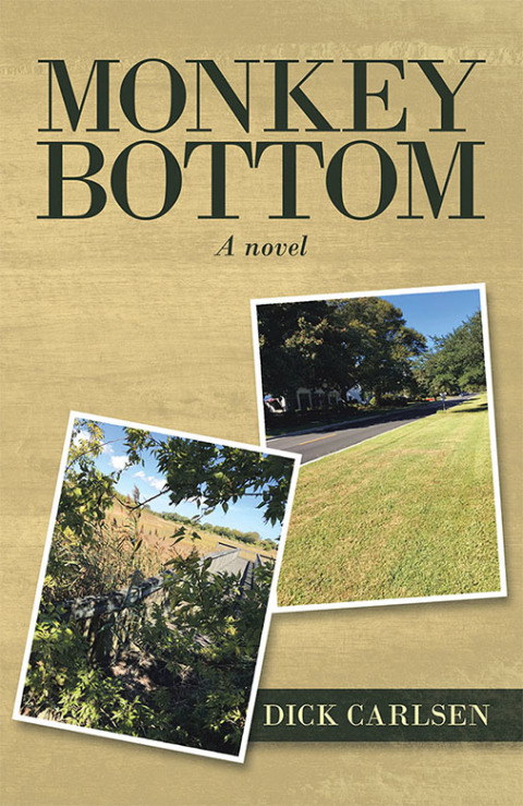 Cover image for book Monkey Bottom