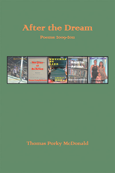 Cover image for book After the Dream Poems: 2009-2011