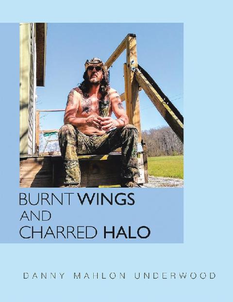 Cover image for book Burnt Wings and Charred Halo