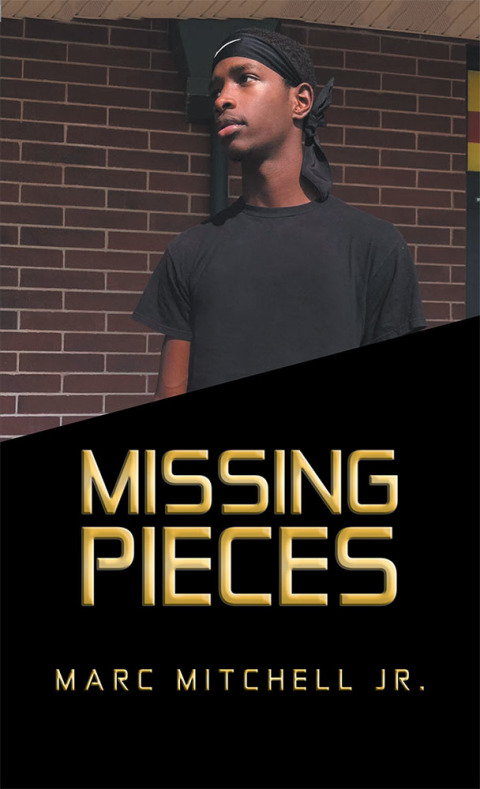 Cover image for book Missing Pieces