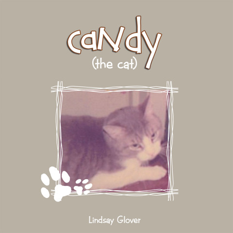 Cover image for book Candy