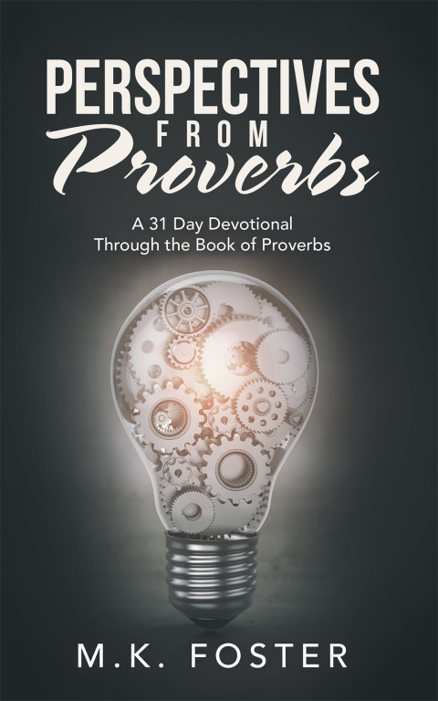Cover image for book Perspectives from Proverbs