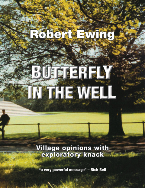 Cover image for book Butterfly in the Well