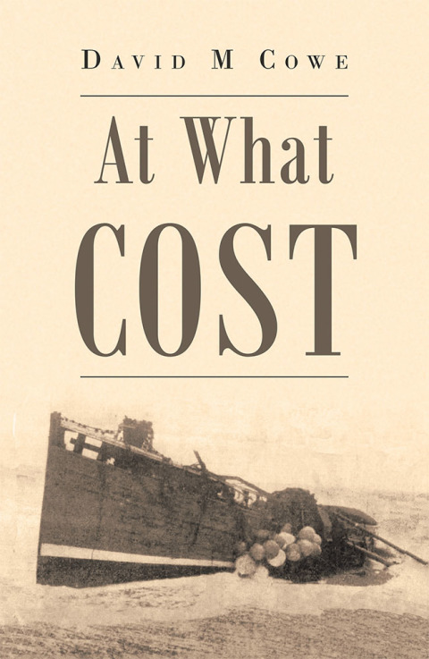 Cover image for book At What Cost