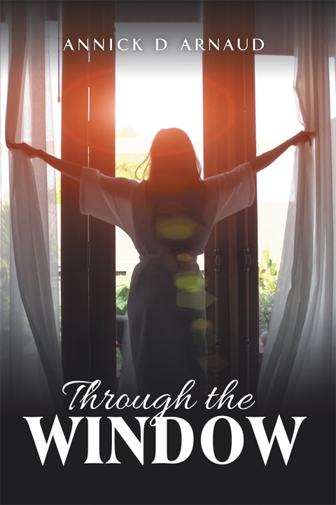 Cover image for book Through the Window