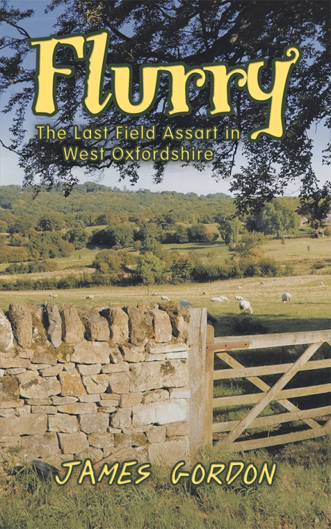 Cover image for book Flurry