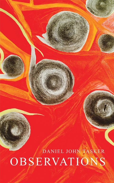 Cover image for book Observations