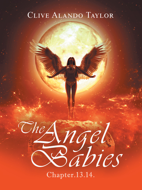 Cover image for book The Angel Babies