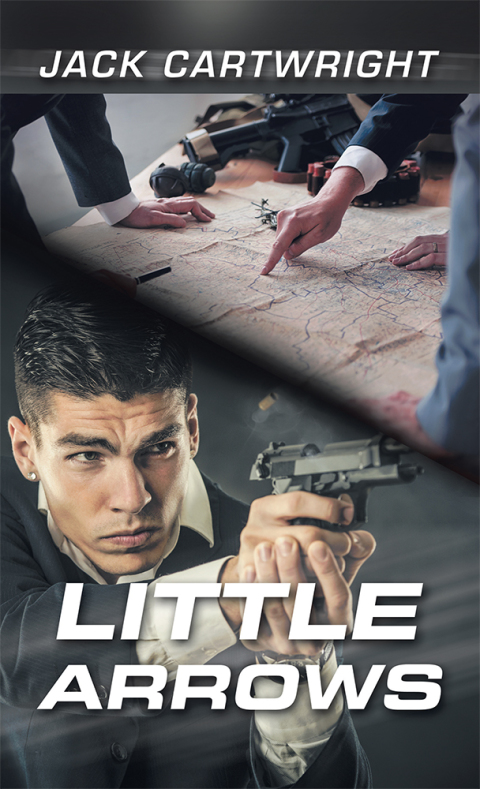 Cover image for book Little Arrows