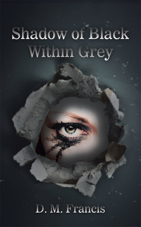 Cover image for book Shadow of Black Within Grey