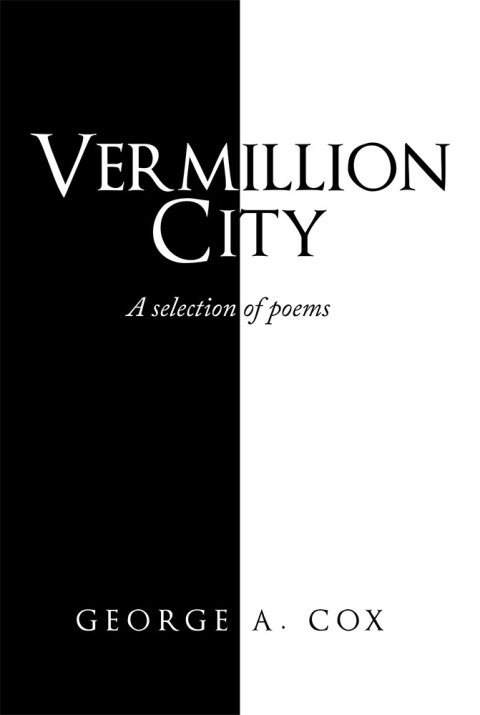 Cover image for book Vermillion City