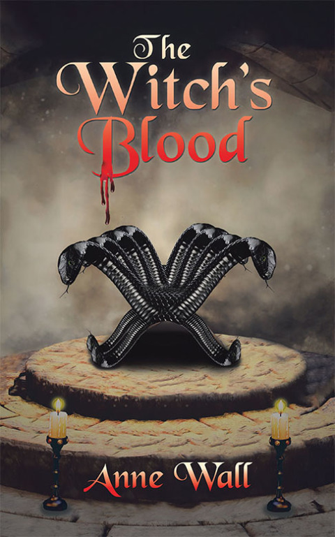 Cover image for book The Witch's Blood