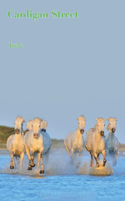 Cover image for book Cardigan Street