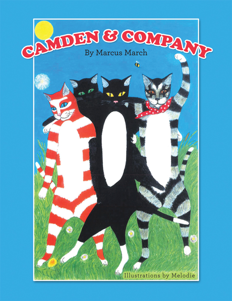 Cover image for book Camden & Company