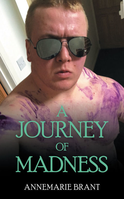 Cover image for book A Journey of Madness