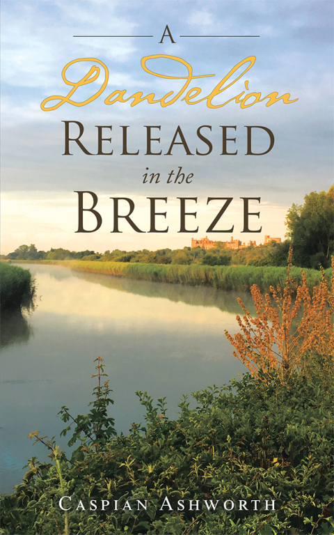 Cover image for book A Dandelion Released in the Breeze