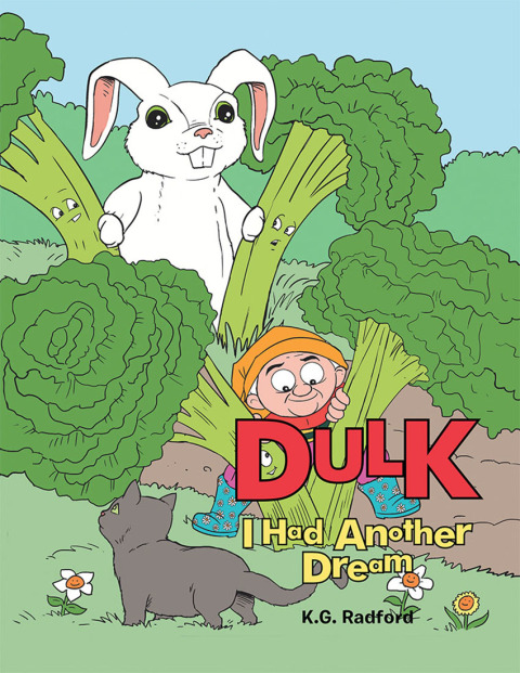 Cover image for book Dulk